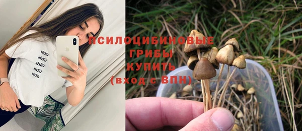 ALPHA PVP Киренск