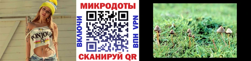 Псилоцибиновые грибы ЛСД Купить закладки Белоусово